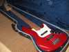 Fender Active 5.jpg